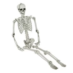 Halloween Human Skeleton Oversized Poseable Full Life Size Decor Party Props