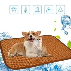 Botanical Rattan Mat Woven Fine Cushion And Pet Mat Cool Cushions Pet Cushions Classic Vintage Style Pattern Office Cushion FAN1501