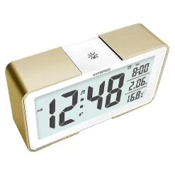Radio Alarm Clock Melody With Different Alarm Tones (champagne-colored With Batteries)