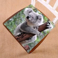 Curious Koala Chair Pads Chair Mat Seat Cushion Chair Cushion Floor Cushion 50x50 Cm
