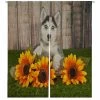 Sweet Husky Puppy Laying Grass Sunflowers Around Her Door Curtain Window Cover Home Decor Hanging Curtain 105x120 Cm